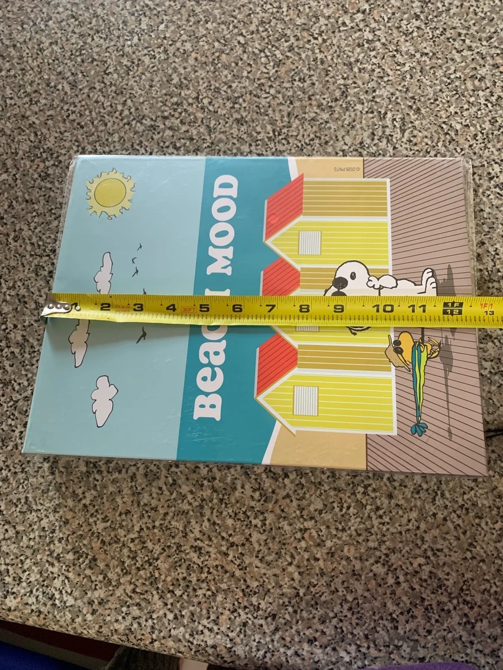 Peanuts Beach Snoopy Binder 2 Ring Binder - Light Blue Pink Yellow Orange